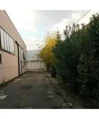 Vendita Laboratorio da 195mq