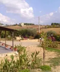 Capannone magazzino mq300 con terreno mq5000 uffici ecc