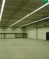 Affitto Capannone da 1300mq