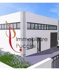 Affitto Capannone da 330mq