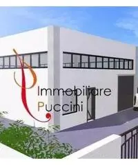 Affitto Capannone in via degli Olmi