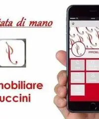Affitto Capannone in via degli Olmi