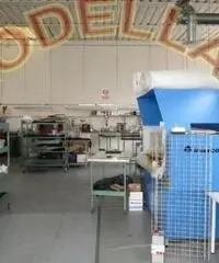 CAPANNONI MAGAZZINI - ARTIGIANALE - CAMPI BISENZIO CAPANNONI MAGAZZINI - ARTIGIANALE - CAMPI BISENZIO