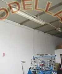 CAPANNONI MAGAZZINI - ARTIGIANALE - CAMPI BISENZIO CAPANNONI MAGAZZINI - ARTIGIANALE - CAMPI BISENZIO
