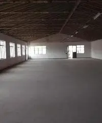 Laboratorio in vendita a CAMBIANO - Castelfiorentino 580 mq  Rif: 454142