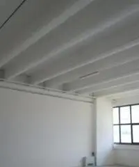 Viottolone: Affitto Capannone in Viale Europa