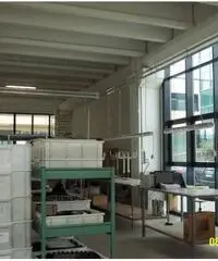 Viottolone: Affitto Capannone in Viale Europa