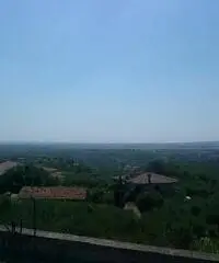 Rif: 85 - Magazzino in Vendita a Rocca Massima