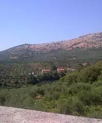 Rif: 85 - Magazzino in Vendita a Rocca Massima