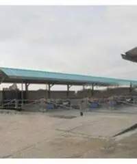 Vendita Capannone da 260290mq