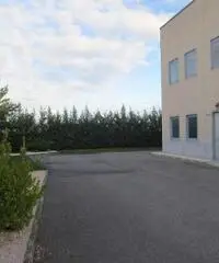 V001623 - MEDOLE