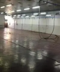 Affitto Capannone da 800mq