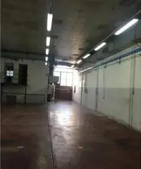 Affitto Capannone da 800mq