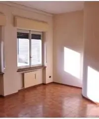 Affitto Capannone in Via Antonio Canova