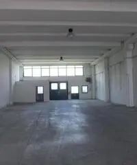 Affitto Capannone in via Idiomi