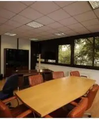 Affitto Capannone in Viale Italia