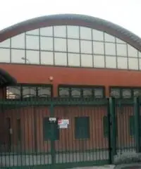 Seggiano: Vendita Capannone in via Brescia