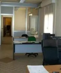 Vendita Capannone da 1080mq