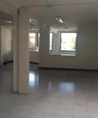 Vendita Capannone da 1300mq