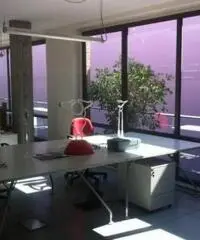 Vendita Capannone da 2400mq