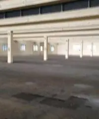 Vendita Capannone da 30800mq