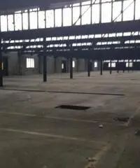 Vendita Capannone da 30800mq