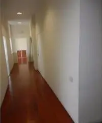 Vendita Capannone in BUCCINASCO