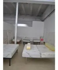 Vendita Capannone in Via Isaac Newton