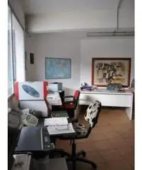 Vendita Capannone in Via Isaac Newton