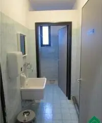 Affitto Capannone da 290mq Affitto Capannone da 290mq