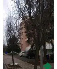 Affitto Laboratorio da 135mq