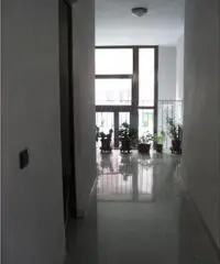 CANTINA NUOVA IN FABBRICATO APPENA COSTRUITO