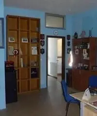 Vendita Capannone in via gioia, carpi