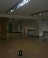 Affitto Capannone da 4500mq