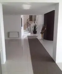 Affitto Capannone in Via Monte Rosa