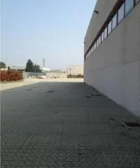 Vendita Capannone in Zona industriale Vendita Capannone in Zona industriale