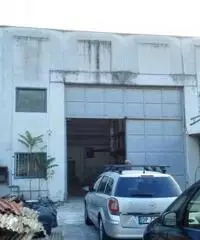 Vendita Capannone in via Campana