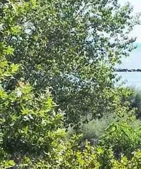 Appartamento in Vendita di 90mq