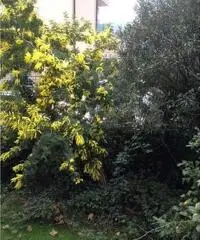 Appartamento in zona centrale a Camogli