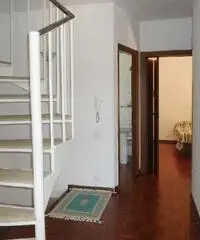 Nettuno: Villa 5 Locali o piu