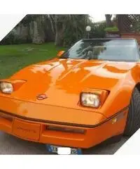 CORVETTE Altro modello - 1985 CORVETTE Altro modello - 1985