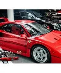 Ferrari F40 cat Ferrari F40 cat