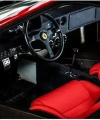 Ferrari F40 cat