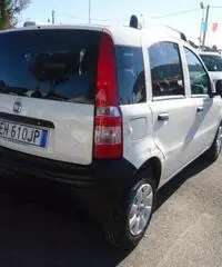 FIAT Panda 1.2 Active GPL rif. 7178305