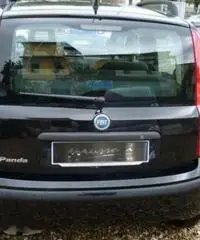 FIAT Panda 1.2 Dynamic rif. 7189511 FIAT Panda 1.2 Dynamic rif. 7189511