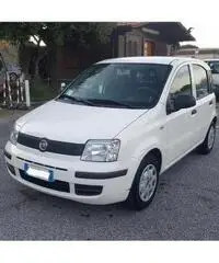 Fiat Panda 1.2 dynamic Fiat Panda 1.2 dynamic