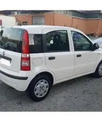 Fiat Panda 1.2 dynamic Fiat Panda 1.2 dynamic