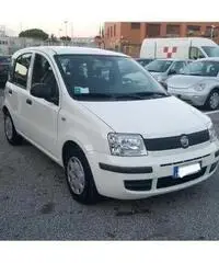 Fiat Panda 1.2 dynamic Fiat Panda 1.2 dynamic