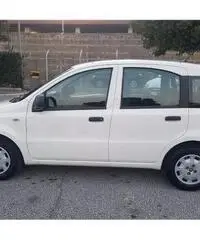 Fiat Panda 1.2 dynamic Fiat Panda 1.2 dynamic