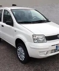 FIAT Panda 1.3 MJT 16V 4x4 rif. 7194293 FIAT Panda 1.3 MJT 16V 4x4 rif. 7194293